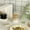 D/550ML, variant on Vintage Drinking Glasses,Glass Cups with Lids and Straws,Clear Can Shaped Glass Cups,Coffee Cups for Gifts