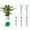 5pcs, variant on Stackable Monstera Plant Support Stakes, For Support Stakes For Indoor Outdoor Climbing Plants Ideal, Growth Vine Training Stem Stabilization And Supporting Growth (5PCS+1Velcro )