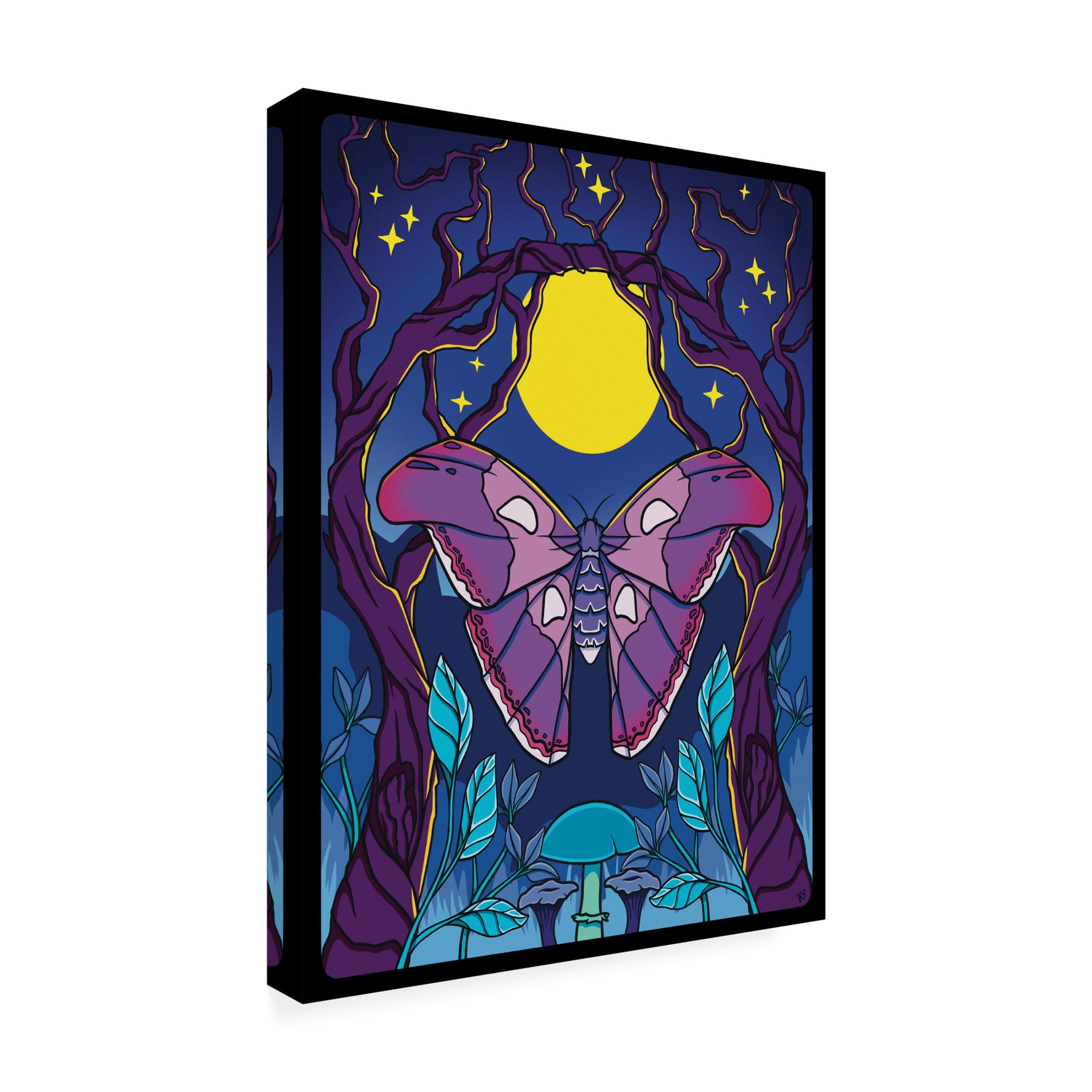 Canvas Wall Art - Rachel Feirman 'Atlas Moth' Wall Art for Living Room, Bedroom, or Office Décor by Trademark Fine Art - 35 x 47 Inches