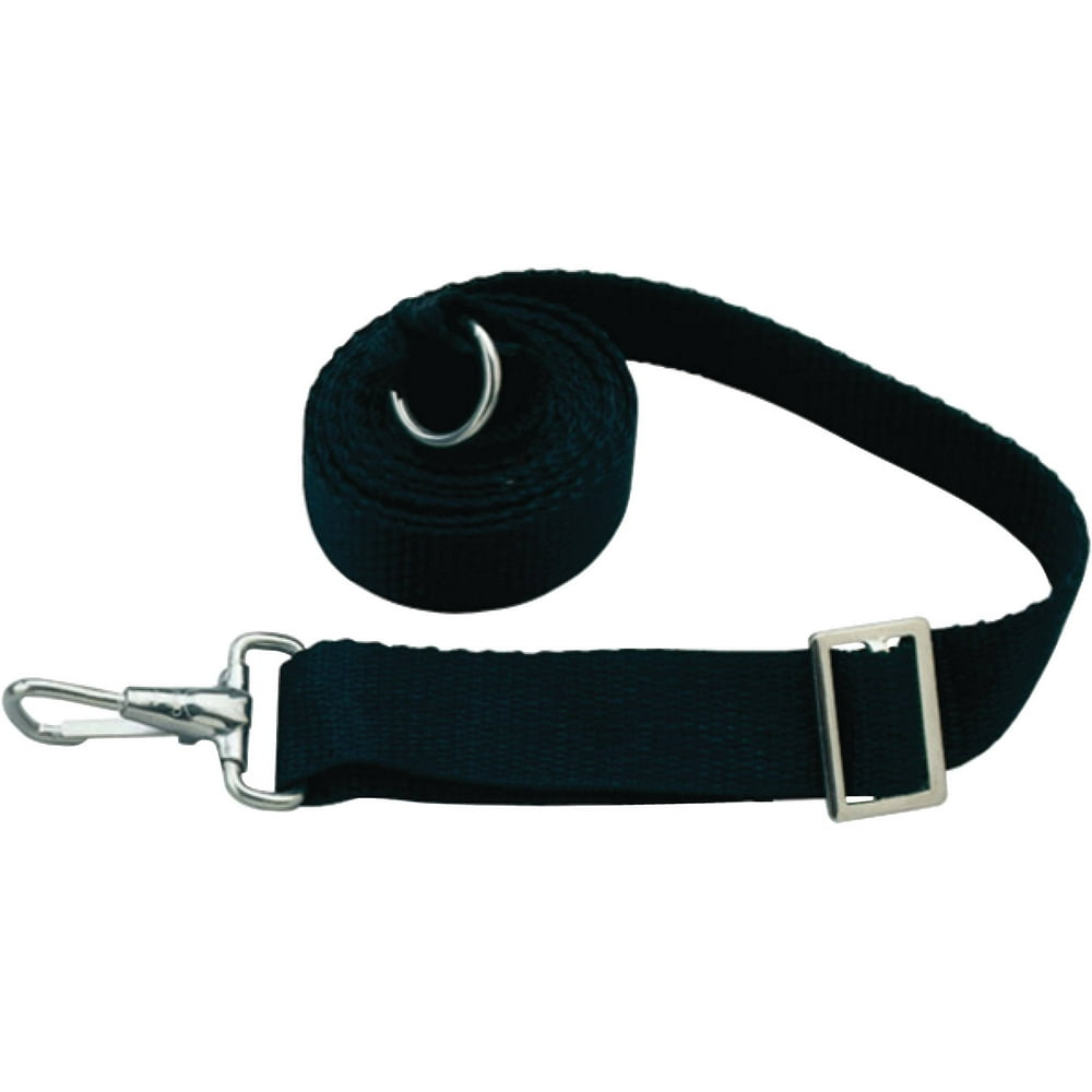 Taylor Adjustable TieDown Straps, 6', Black, 2pk