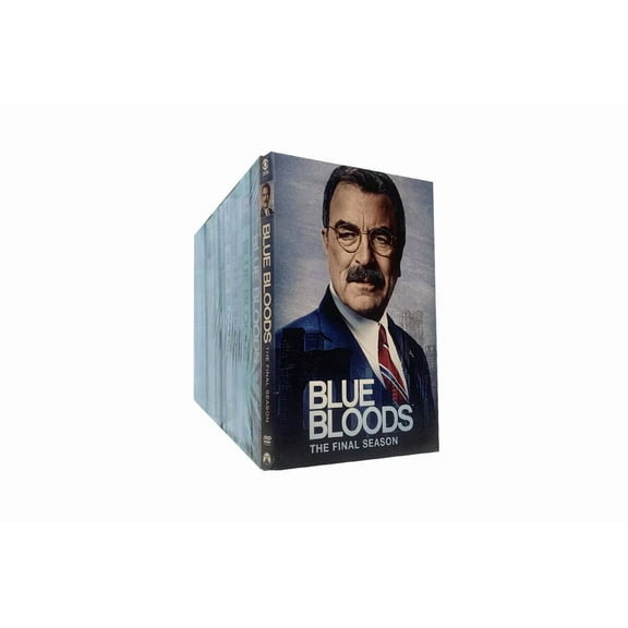 Blue Bloods: The Complete Seasons 1-14 (DVD)