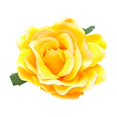 thumbnail image 3 of Miangastore 5 Pcs Broches en Tissu Design Réaliste Jaunes pour Femmes Robes Bal et Soirée, 3 of 9