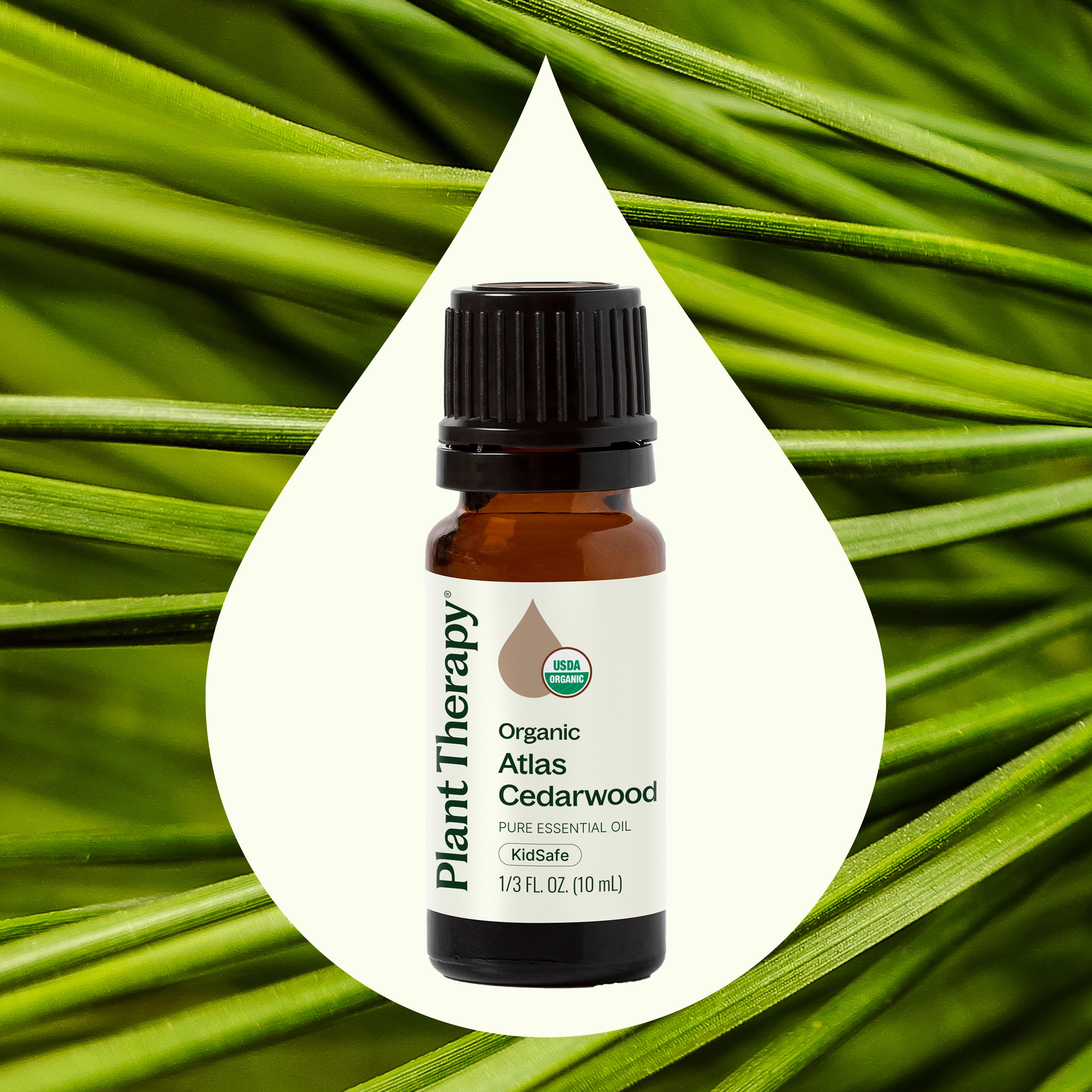 Plant Therapy Organic Atlas Cedarwood Essential Oil 100% Pure, USDA Certified Organic, Undiluted, Natural Aromatherapy 10 mL (1/3 oz)