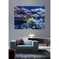 thumbnail image 2 of Sumerlin Sea Coral I Wall Decal, 2 of 2
