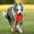 thumbnail image 3 of bestolf Spiked Ring Dog Chew Toy for Interactive Squeaky Spiky Ring with Rope Dog Training Fetch Toy for Small Medium Large Dogs, 3 of 11
