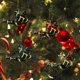 thumbnail image 1 of 4 piezas árbol de Navidad adorno de bombero acrílico coche colgante colgante (sin luz) JShteea Libre de BPA, 1 of 9