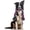 1 Pack-Medium, variant on XL Dog Chew Toys for Aggressive Chewers Large Breed, 14 Pack Tough Indestructible Dog Toys for Aggressive Chewers, Durable Puppy Chew Toys for Teething, Heavy Duty Cotton Rope Toys