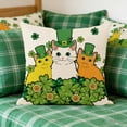 thumbnail image 6 of Nkmbld St. Patrick's Day Printed Pillow Covers, Vintage Accent Farmhouse Cushion Covers Home Decor for Sofa Couch Chair Bedroom Living Room, 6 of 8