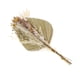 thumbnail image 2 of Hojas de palma secas naturales Hierba de la pampa Ramas de 16 pulgadas Lanzas de palma Decorativas Conjunto B, 2 of 8