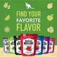 thumbnail image 5 of Wiley Wallaby Licorice 10 Ounce Classic Gourmet Soft & Chewy Australian Green Apple Licorice Candy Twists, 3 Pack, 5 of 7