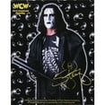 thumbnail image 1 of WCW - Sting Signature Pose Decal, 1 of 1