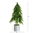 thumbnail image 4 of Nearly Natural 20in. Artificial Real Touch Down Swept Norfolk Island Pine, 4 of 8