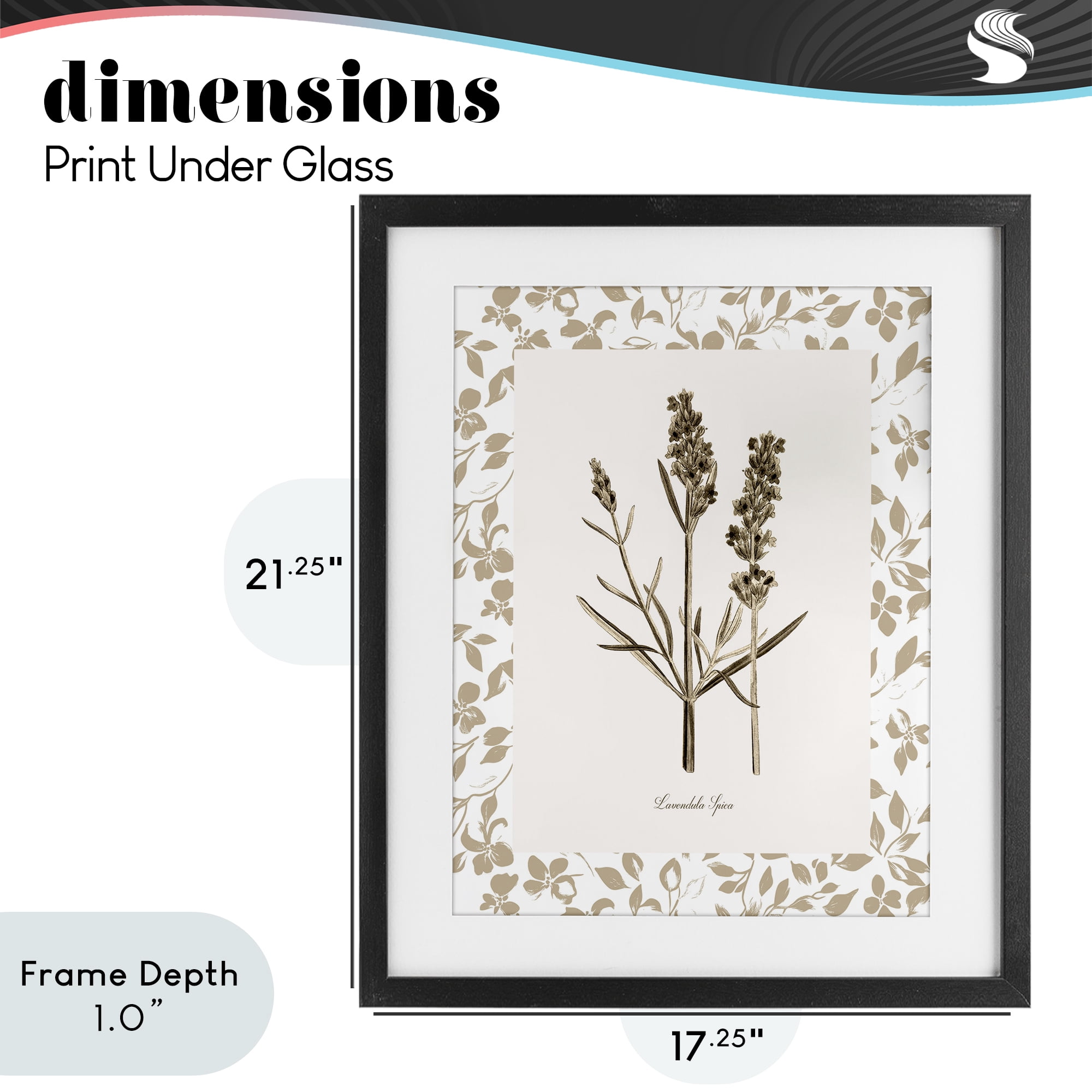 Stupell Industries Neutral Imperial Herb Study Black Framed Print Under Glass, design by Kelly Donovan