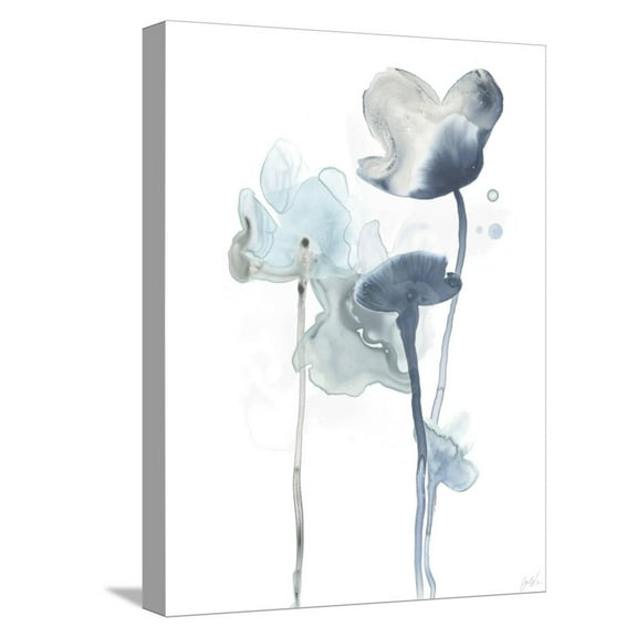 Art.com Midnight Blossoms III Stretched Canvas Print Wall Art, 12" x 16"