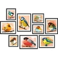 thumbnail image 3 of PixonSign Framed Canvas Print Wall Art Set - Pastel Watercolor Geometric Birds Poster Art - Spring Animals Print Gallery Set of 9 Abstract Illustrations Wall Décor for Home - Black, 3 of 5