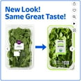 thumbnail image 2 of Marketside Organic Fresh Baby Spinach, 16 oz, 2 of 7