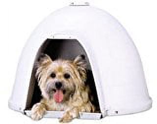 Petmate Dogloo Medium Plastic Dog House Gray 18.5 in. H X 25.3 in. W X 26  in. D - Walmart.com