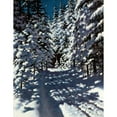 thumbnail image 3 of Stanisław Witkiewicz 15x18 Black Modern Framed Museum Art Print Titled - Forest (1892), 3 of 5