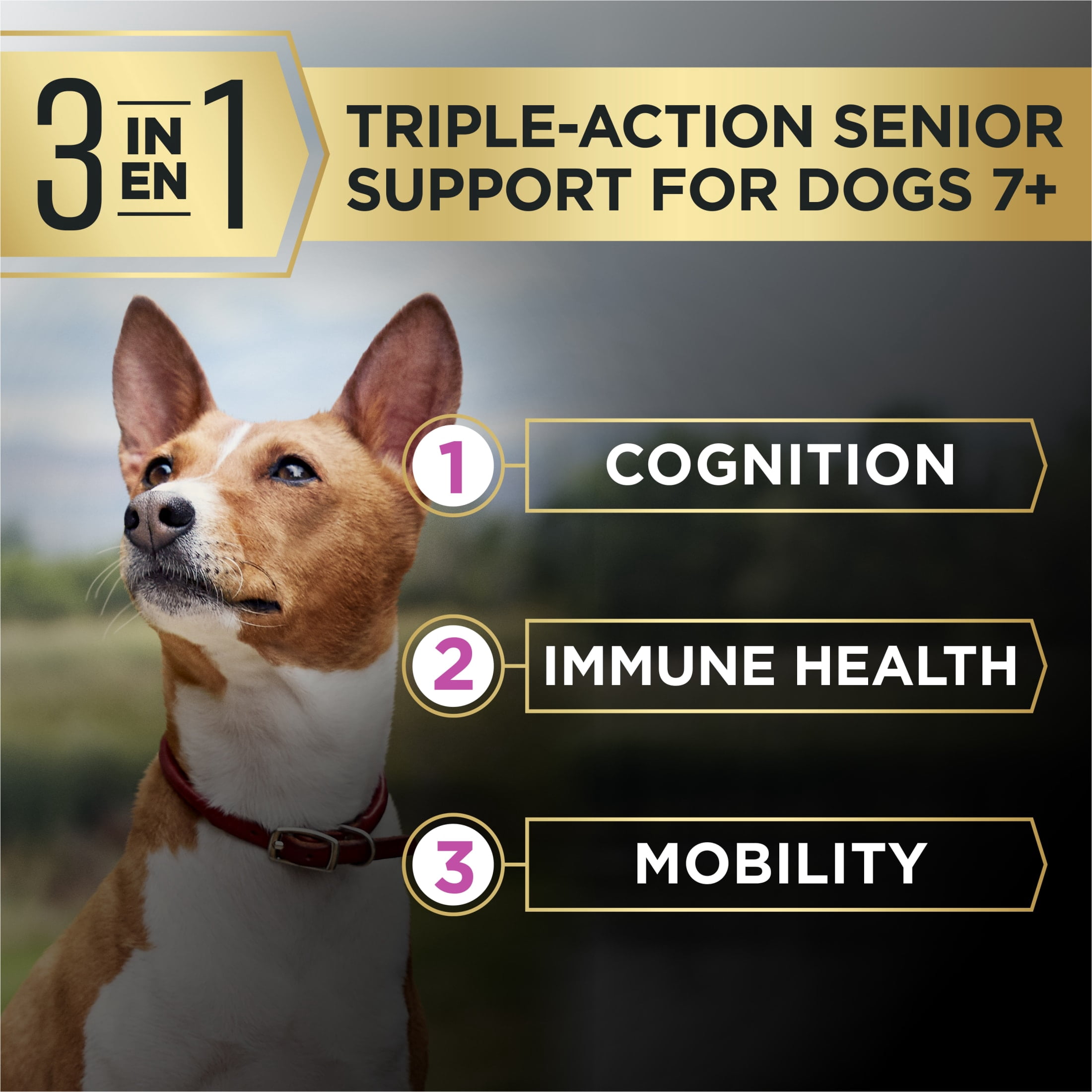 Purina Pro Plan AdvantEDGE Senior Support Plus Small Breed Shredded Blend Chicken and Rice Formula Dry Dog Food, 12 lb Bag