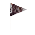 thumbnail image 1 of Animal Big Eye Gray Cat Photograph Toothpick Triangle Cupcake Toppers Flag, 1 of 3