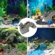 thumbnail image 2 of Rium Rat, Resin Brid Tank Rat Rium Ornt Resin Brid, 2 of 5