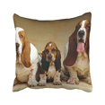thumbnail image 1 of RYLABLUE Decorative Dogs Three Basset Hound Puppy Animals Style Pillowcase Cover Pillow Case Size 18x18 inches Two Side, 1 of 1