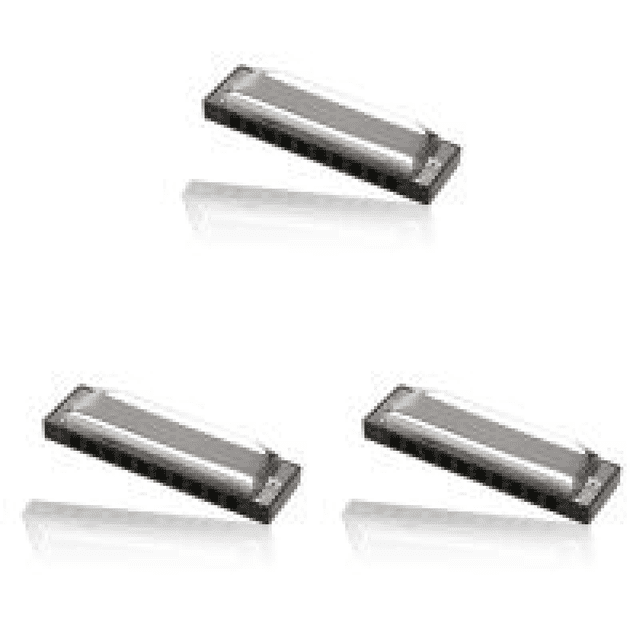 Armónica 10 Agujeros Y 20 Tonos Con Caja Órganos Bucales Metal para Principiantes Azul