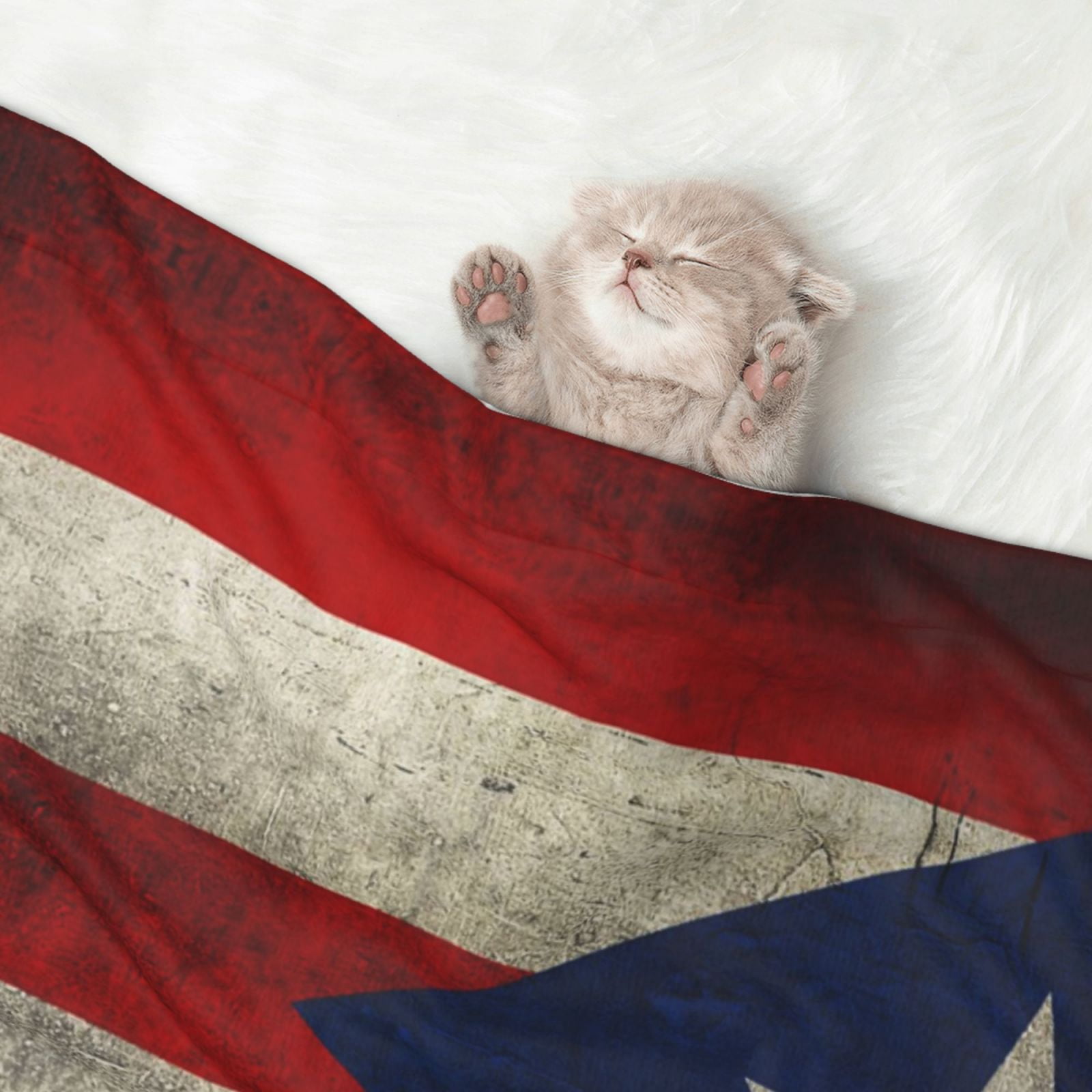 Retro Puerto-Rico-Flag Dog Blanket Soft Warm Flannel Cat Blanket Great Pet Throw for Cats Puppy Small Medium Large Dog