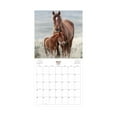 2025 Hanging Wall Calendar, Horses, 12x12 by Blue Sky