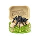 thumbnail image 3 of ZURU 5 Surprise Mega Gross Minis Mystery 5 Grossest Surprise Miniature Toys Ever!, 1 Random Ball, 3 of 5