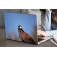 thumbnail image 3 of KSK KAISHEK Hard Shell Case Cover Only Compatible 2020 - 2019 Rel. MacBook Pro 16" with XDR Display Type C Model: A2141 Feather Series 0237, 3 of 5
