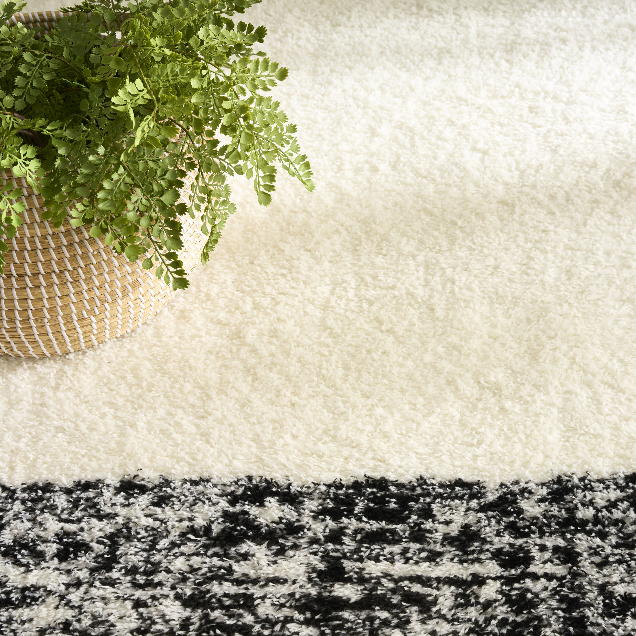 Nourison Pacific Shag 5'3" x 7'3" Ivory Black Shag Indoor Rug