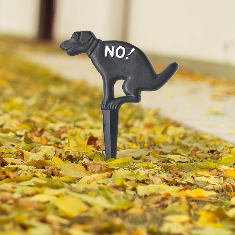 How To Stop Dogs Messing In Your Garden Fasci Garden