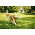 thumbnail image 4 of Hartz Dura Play Bone Dog Toy, Large, Color Will Vary,, 4 of 9