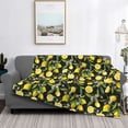 thumbnail image 2 of Naloa Lemon Fruits Flowers Leaves Flannel Blankets - Thick and Warm Blanket for Winter, Soft Fuzzy Plush King Blanket for All Seasons40"x30", 2 of 6