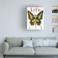 thumbnail image 2 of Trademark Fine Art 'Mag 8' Canvas Art by Vintage Lavoie, 2 of 4