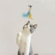 thumbnail image 5 of Juguetes Para Gatos, 10 Piezas, Varita Interactiva Para Gatos, Juguete De Pesca Retráctil Para Gatos Con 2 Postes Y 8 Cabezas De Repuesto, Juguete Para Pescar Con Caña De Pescar Para Interacción Y Kearding PT001189-00, 5 of 7