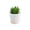 White, variant on Artificial Potted Plants with White Plastic Pots for Home and Office Decor, Small Flower Arrangements for Indoor Spaces