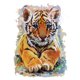 thumbnail image 1 of Punto de cruz parcial 14CT Hilo de algodón DIY Pequeño tigre Impreso Bordado Tmvgtek Oficina Multiescena Multifunción, 1 of 9