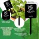 thumbnail image 4 of 24 Etiquetas Acrílicas para Plantas, 12 Estilos, Marcadores de Jardín, Etiquetas para Estacas, Etiquetas Negras Impermeables con Nombres., 4 of 5