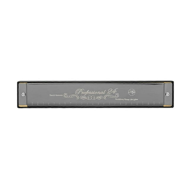 24 Hole C Key Harmonica for Beginners Kids Instrument for Performance
