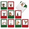 thumbnail image 1 of The Best Card Company - 20 Blank Christmas Note Cards (10 Designs, 2 Each) - Bulk Holiday Notecard Set (4 x 5.12 Inch) - Holiday Dogs and Doodles AM6582XSB-B2x10, 1 of 4