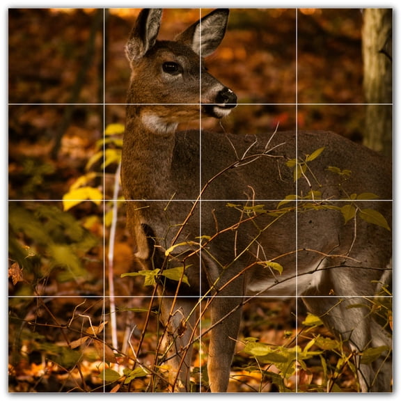 Picture-Tiles.com: Deer Ceramic Tile Wall Mural WAL500454-44M. 24"W x 24"H using (16) 6" x 6" Ceramic Tiles-Satin Finish