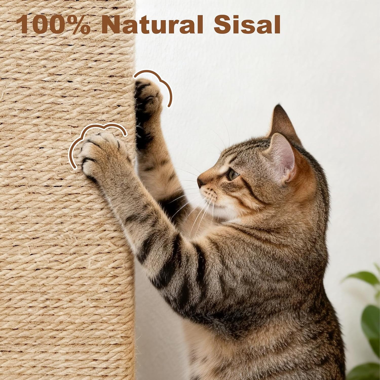Tall  Scratching Post, 33 Inch  Carpet  Scratcher with Perch for Indoor Cats