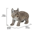 thumbnail image 2 of Hi Line Gift 87711-B 10” LYNX KITTEN Durable Polyresin Figurine, 2 of 4