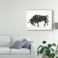 thumbnail image 3 of Trademark Fine Art 'Toro I' Canvas Art by Ethan Harper, 3 of 4