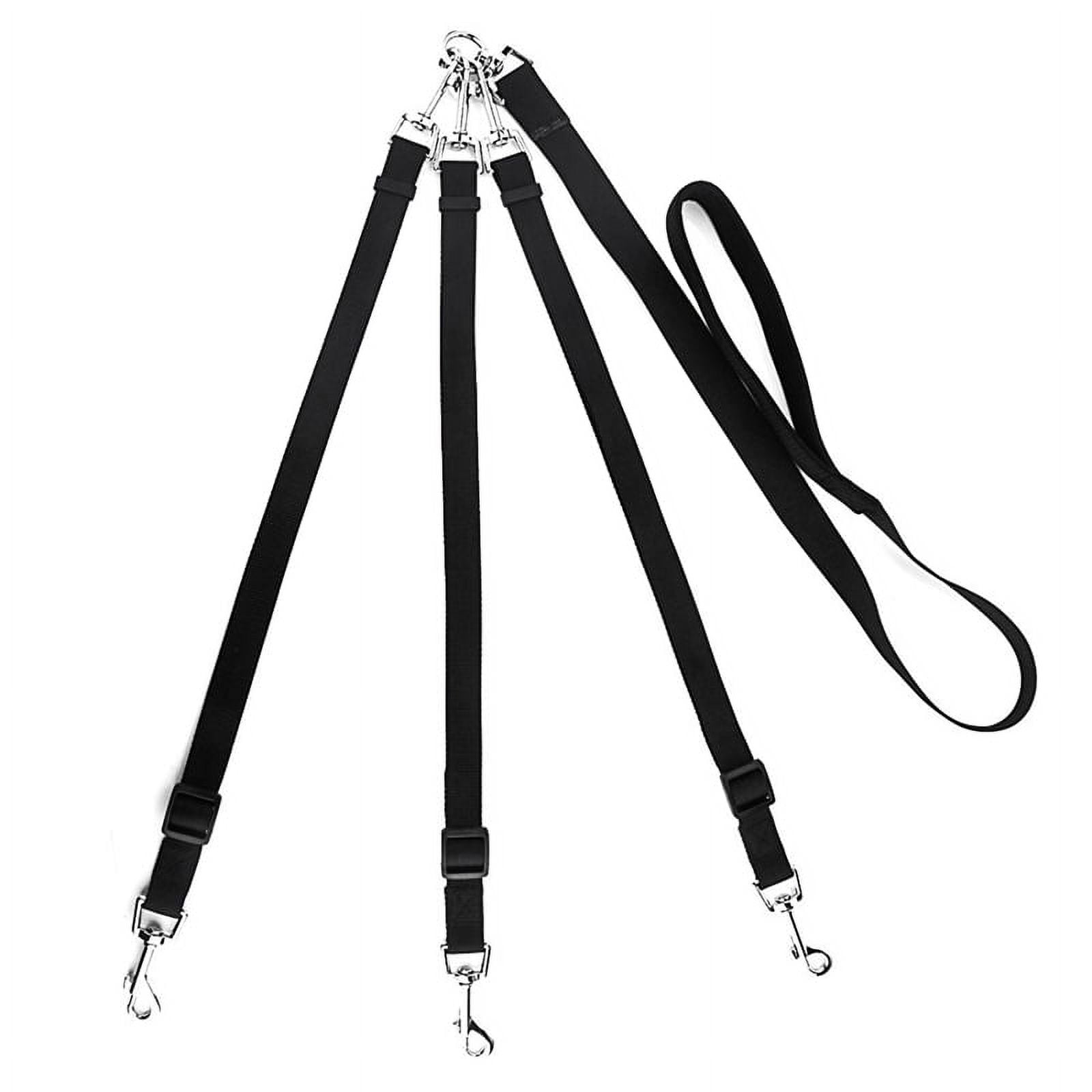 No- Nylon Dog Leash Adjustable 144-170cm 2.5cm Wide Black