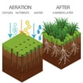 thumbnail image 6 of Walensee Lawn Spike Aerator with 15 Iron Spikes for Garden, 6 of 8