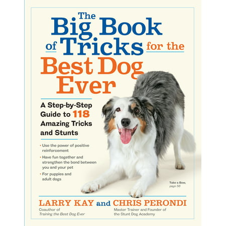 Big Book of Tricks for the Best Dog Ever - (Best Dog Tricks Ever)