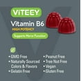 thumbnail image 3 of VITEEY Vitamin B6 Gummies, Immune Support and Nerve Function, Berry Flavor, 60 Ct, 3 of 7